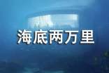 (集合)讀《海底兩萬里》有感15篇