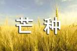 關(guān)于芒種適合發(fā)朋友圈的語錄